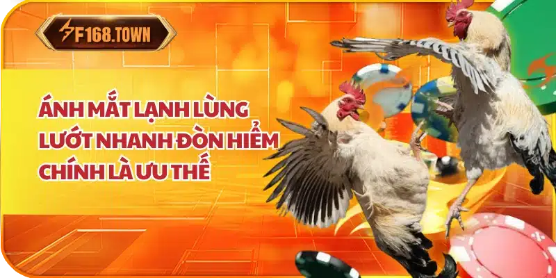  Ánh mắt lạnh lùng lướt nhanh đòn hiểm chính là ưu thế